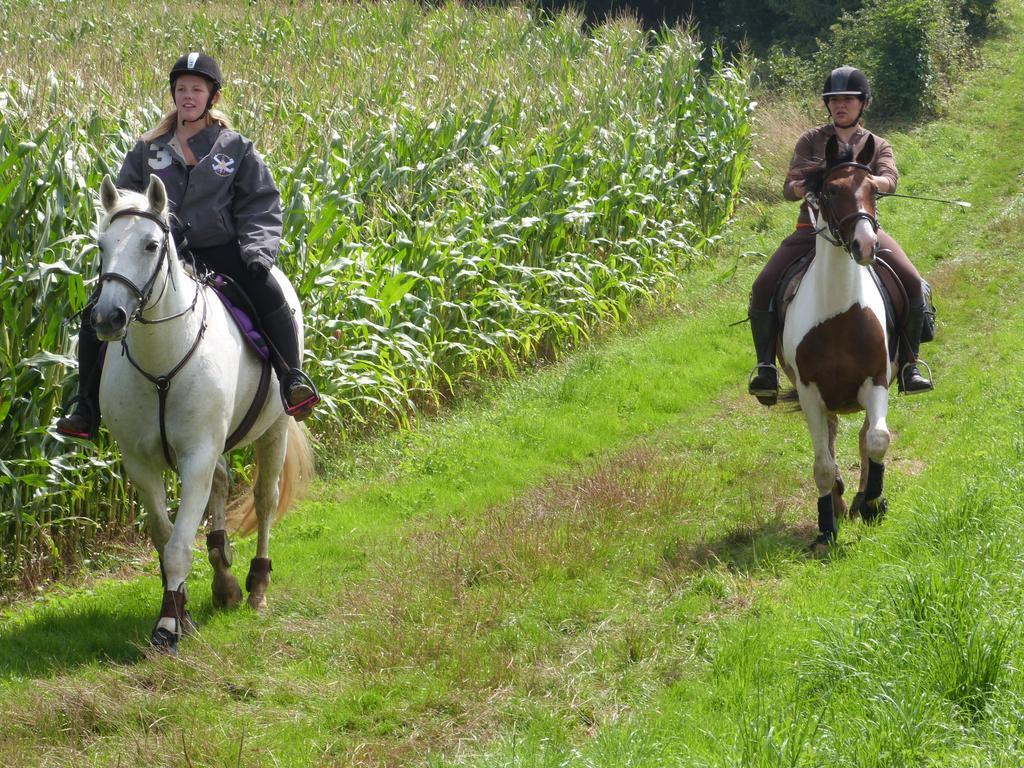 Gite Et Relais Equestre De Marie Tours-en-Vimeu Exterior photo
